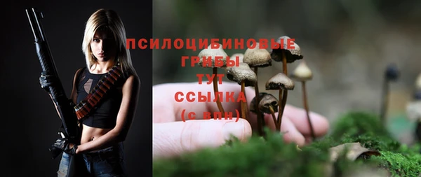 мдпв Бронницы